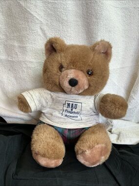 Vtg 90s NAU Flagstaff Arizona plush teddy Bear with NAU Tee & Plaid Bottoms